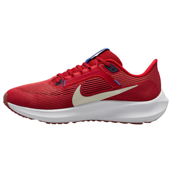 Nike Air Zoom Pegasus 40